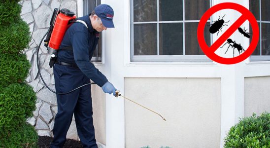 Burhaniye Bit İlaçlama böcek ilaçlama ve haşere kontrolü — ilaclama-tr.com